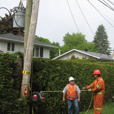 PCH1000 Gas-Powered Hoist