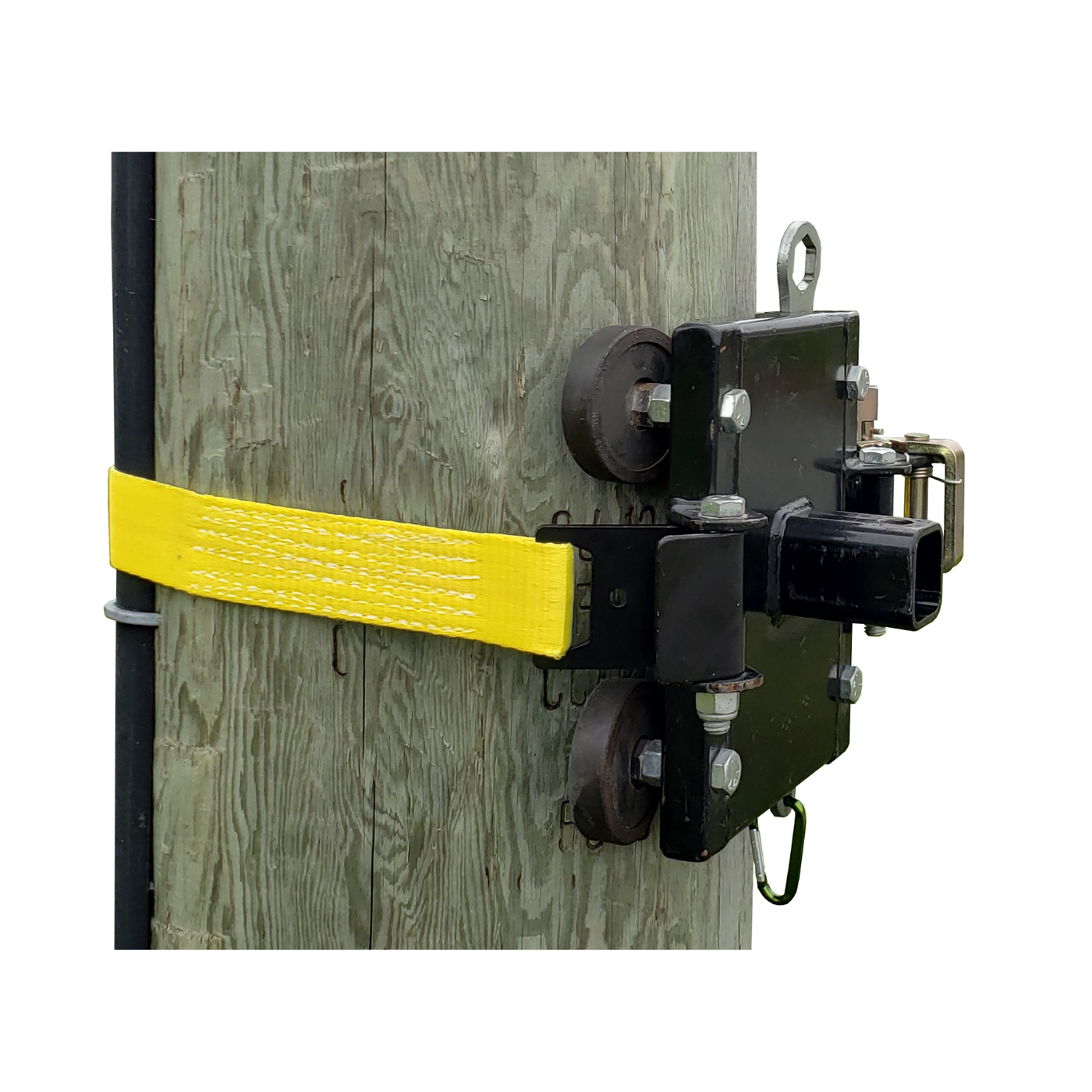 TREE-MOUNT WINCH ANCHORING SYSTEM WITH RUBBER PADS